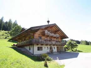 Modern Mansion near Ski Area in Salzburg